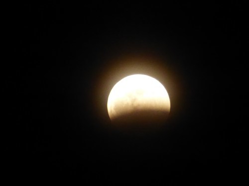 b0238249_11141163.jpg