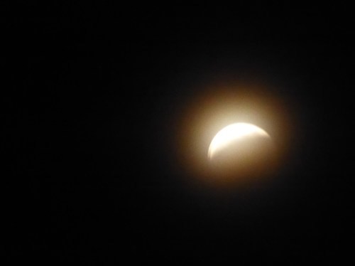 b0238249_11145548.jpg