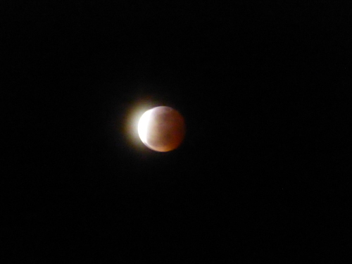 b0238249_11165942.jpg