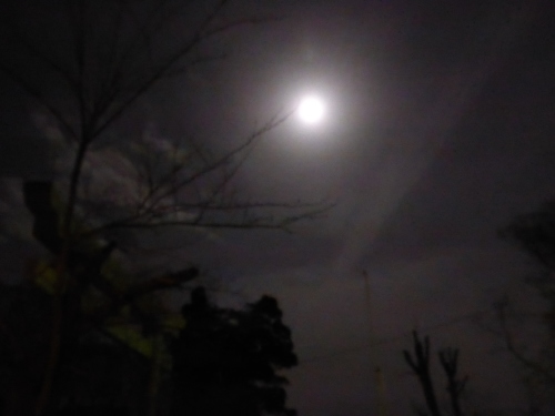b0238249_11173622.jpg