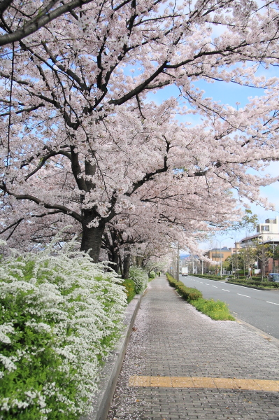 a0024250_1022257.jpg