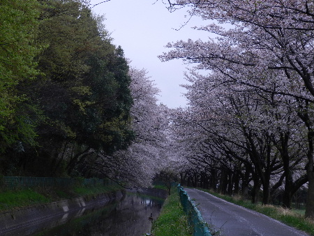 e0172950_20122660.jpg
