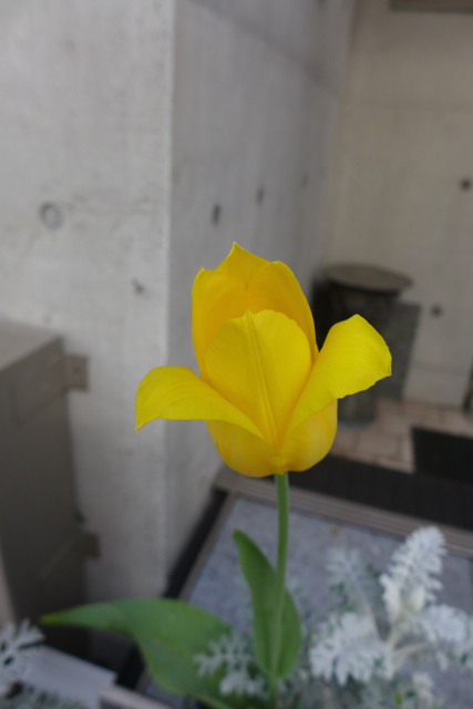 b0300051_373433.jpg
