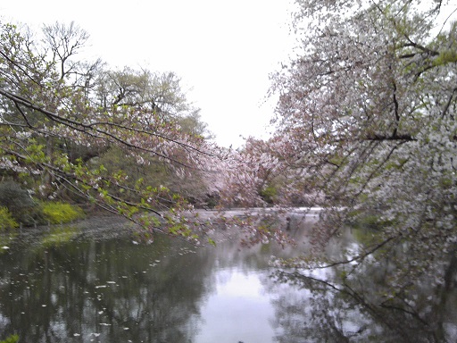 f0055956_12551486.jpg