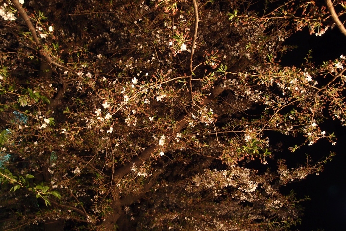 b0162357_9233522.jpg