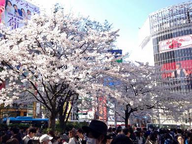 c0051760_14571589.jpg