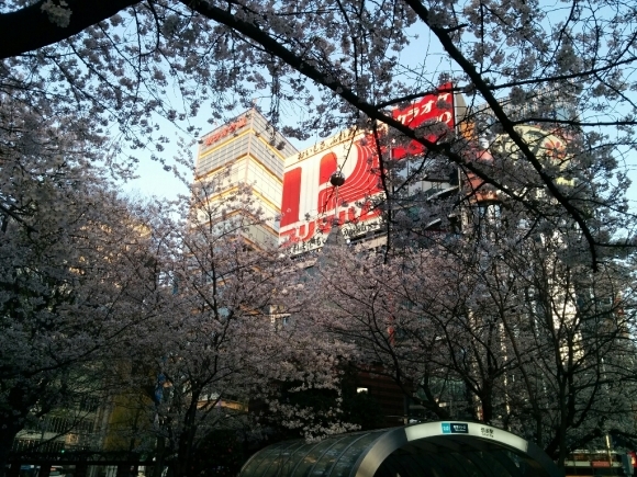 c0127366_08153816.jpg