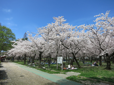 c0117570_20204860.jpg