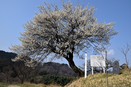 f0342371_10195455.jpg