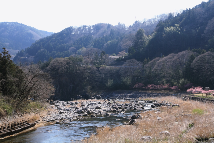 d0225575_0163584.jpg