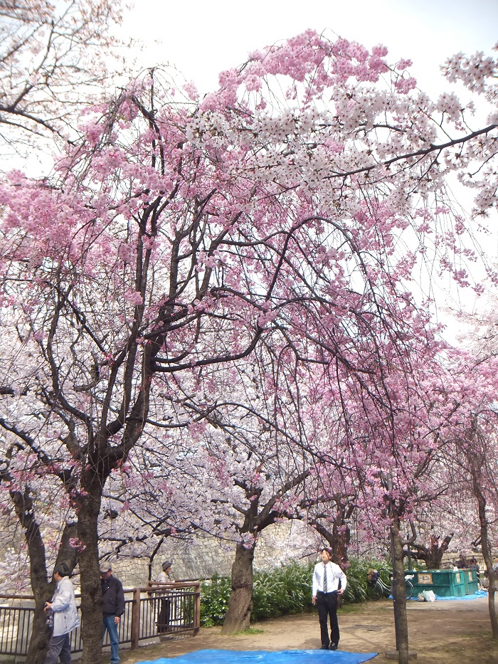 f0238779_1429669.jpg