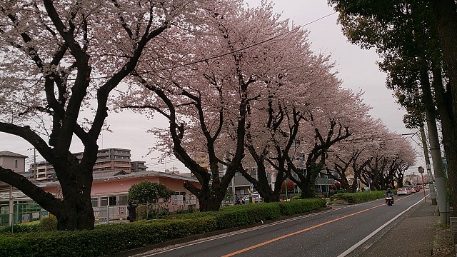 f0169884_21132695.jpg