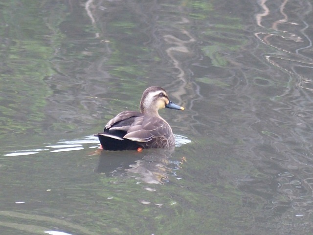 f0357487_22201555.jpg