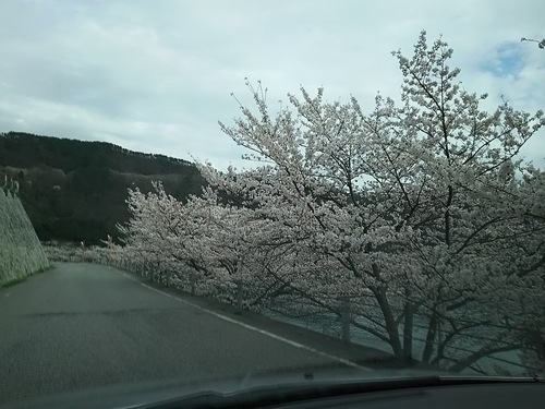 c0204188_164164.jpg