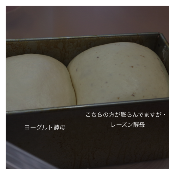 c0275289_00412383.png