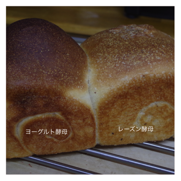 c0275289_00414755.png