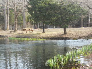 e0148889_1645732.jpg