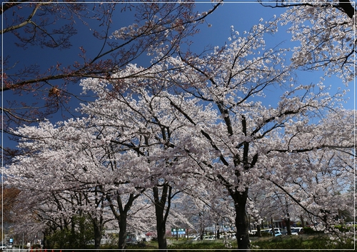 b0151893_18572546.jpg