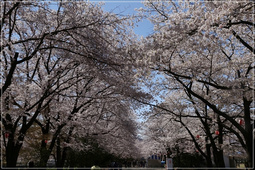 b0151893_20124818.jpg