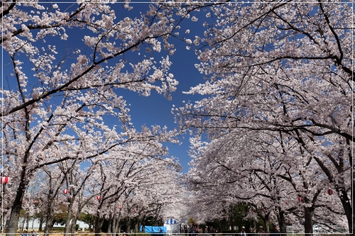 b0151893_20135357.jpg