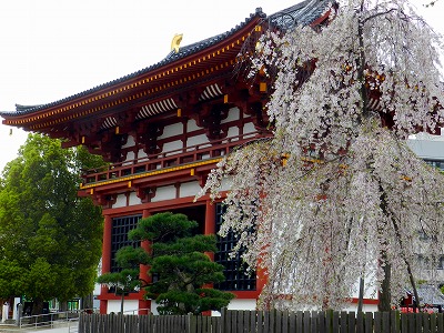 d0099695_16402592.jpg