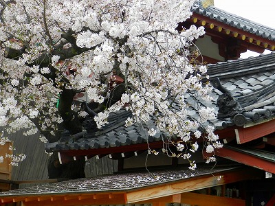 d0099695_16404169.jpg