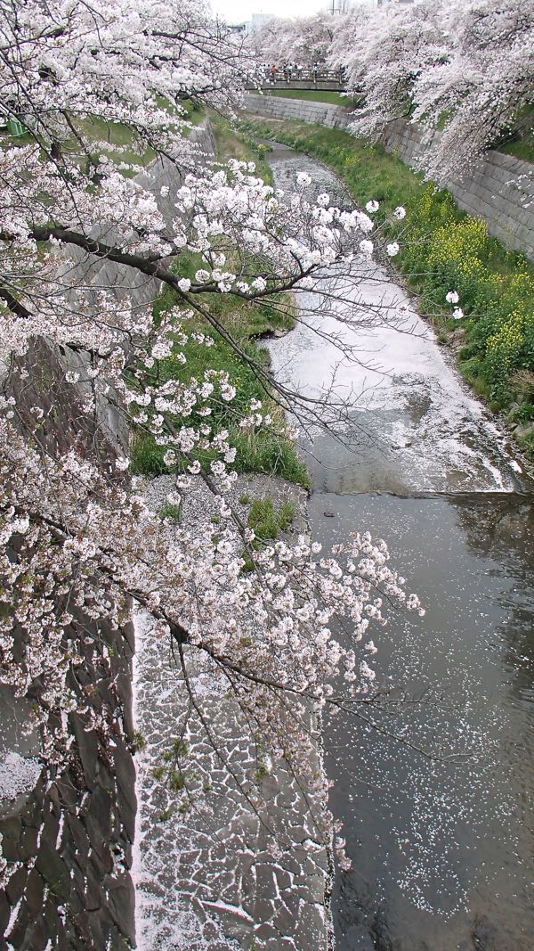 c0015099_22101460.jpg