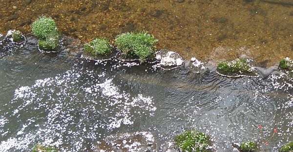 c0015099_22111760.jpg