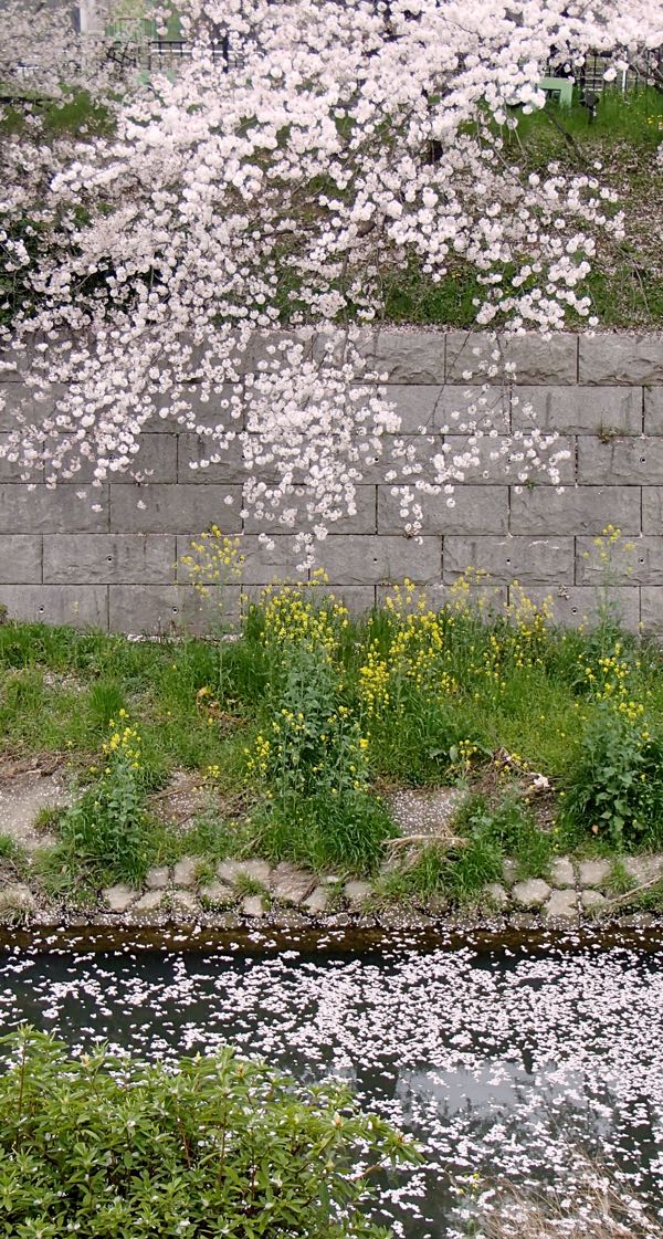 c0015099_22114676.jpg