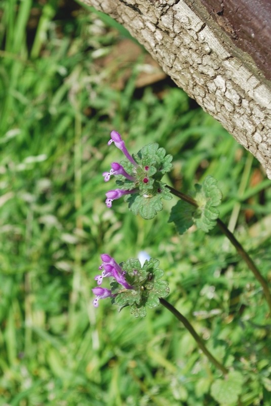 e0025300_20405431.jpg