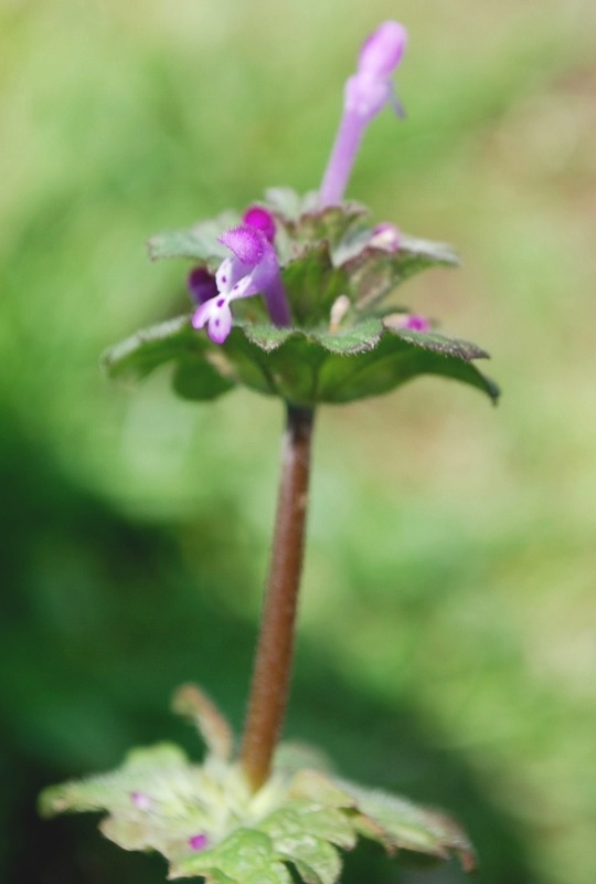 e0025300_20422635.jpg