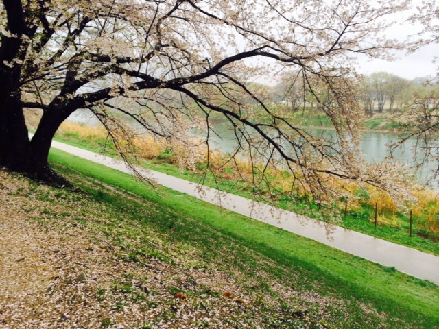 a0050302_15153886.jpg