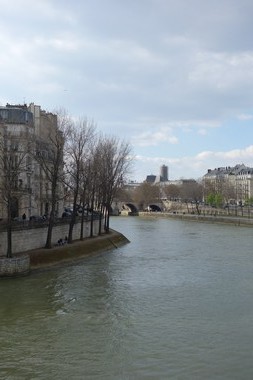 e0206902_582994.jpg