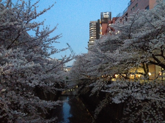 c0064706_0314383.jpg