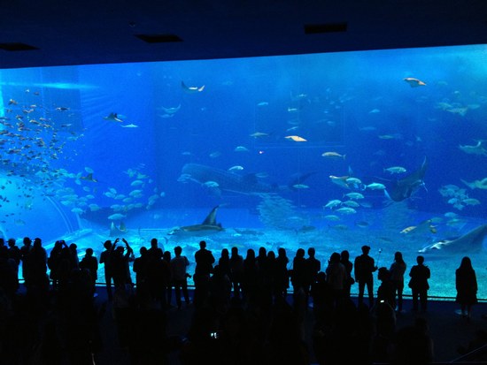 f0221708_16562823.jpg