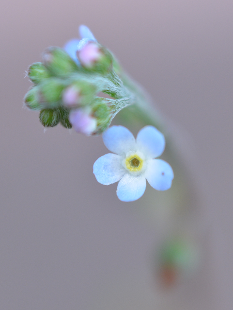 f0008510_13374642.png