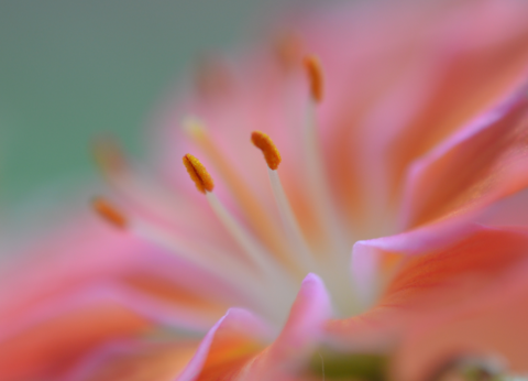 f0008510_13471924.png