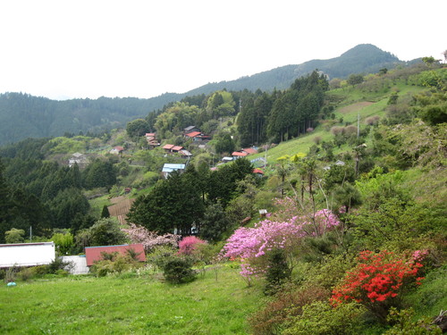 e0025919_8462747.jpg