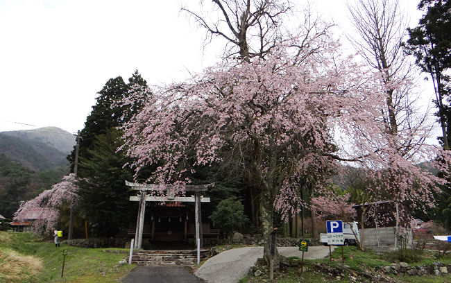 b0211627_1652395.jpg