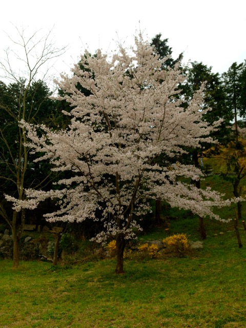 e0002927_22242720.jpg