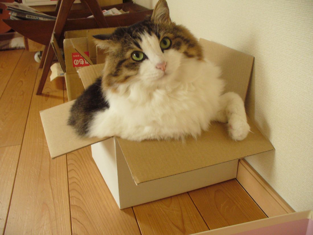 f0346527_22525177.jpg