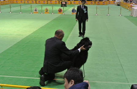 f0077931_21463256.jpg