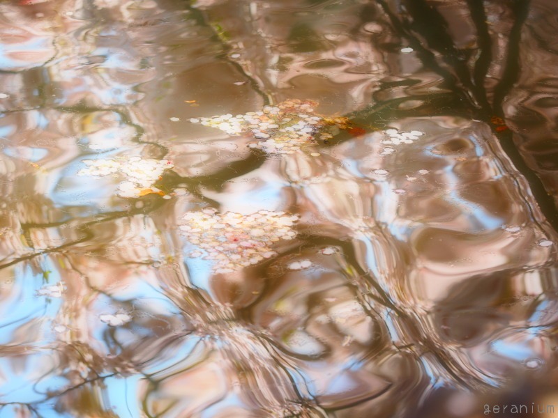 c0133533_1333594.jpg