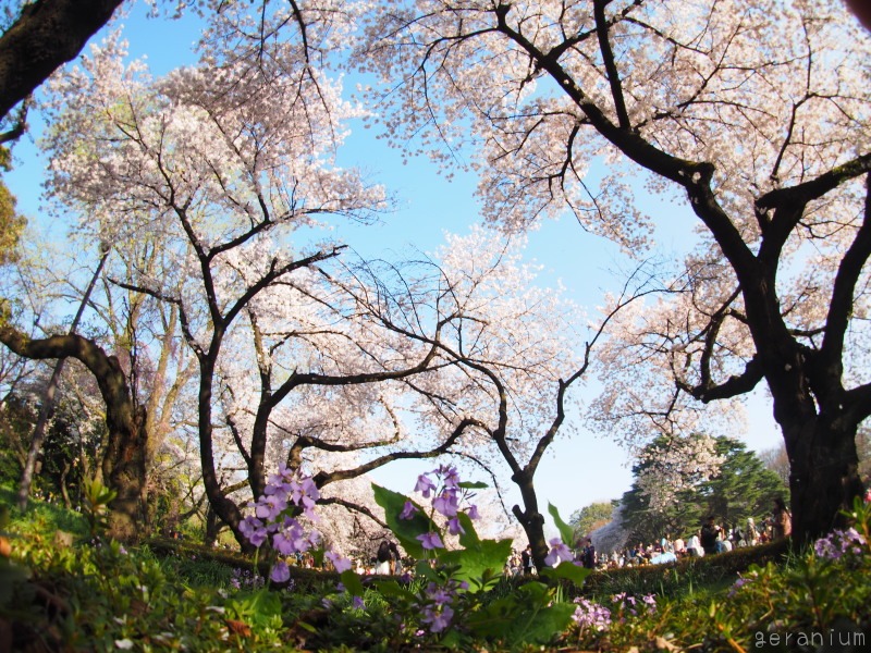 c0133533_23315.jpg