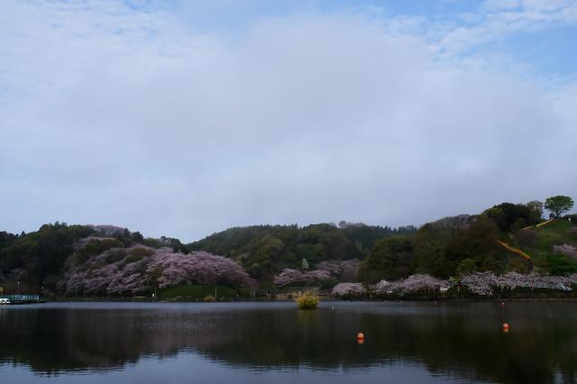c0309734_09104080.jpg