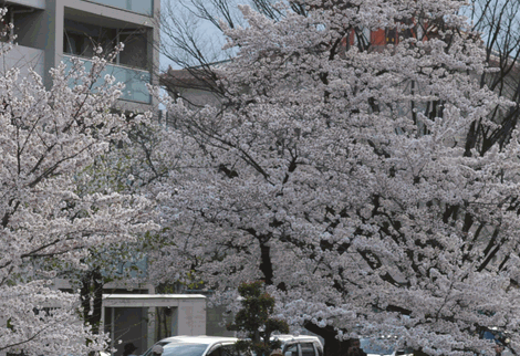 c0136736_21141626.gif