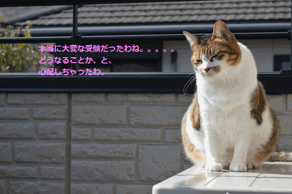 c0136736_212870.gif