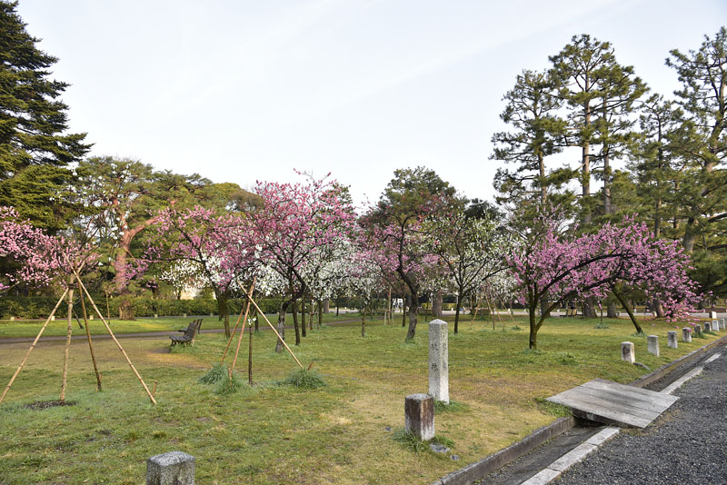 b0042837_17561360.jpg