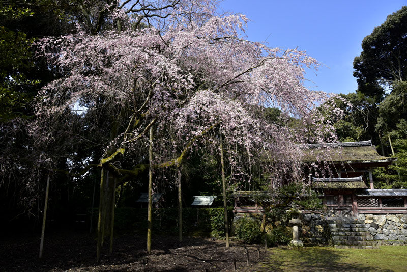 b0042837_1803177.jpg