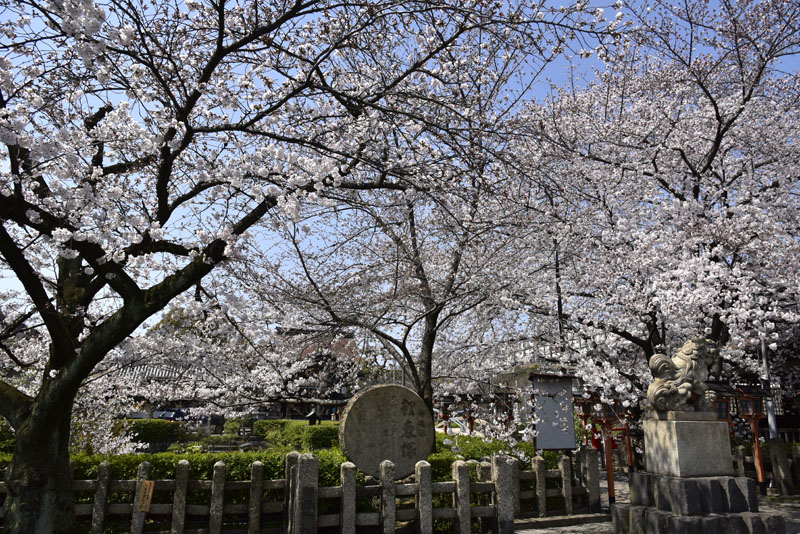 b0042837_18155845.jpg
